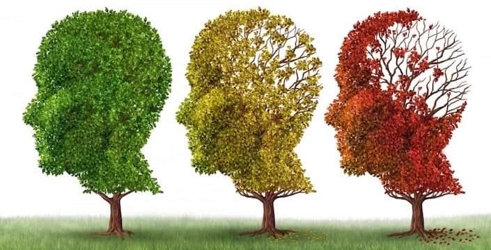 Project Alzheimer’s™: Video of the Week