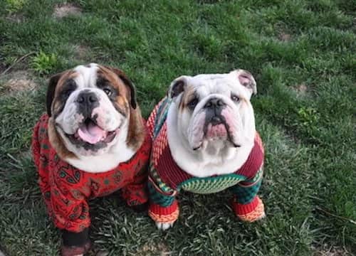 That Ugly Sweater Is In Fashion
