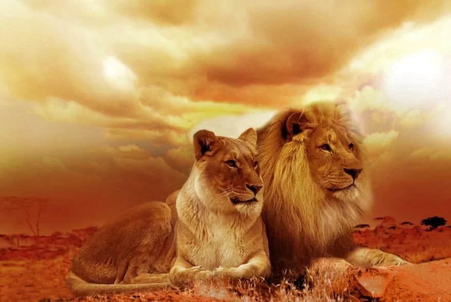 Disney Movies that Show Leadership
