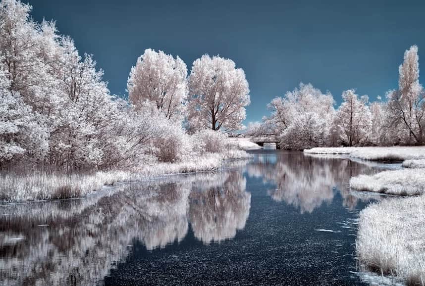 Winter Solstice Traditions and Ways to Celebrate With Your Corporate Team