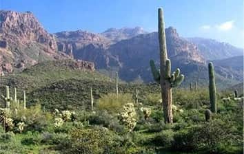 Mesa, AZ
