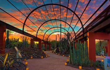 Phoenix, AZ