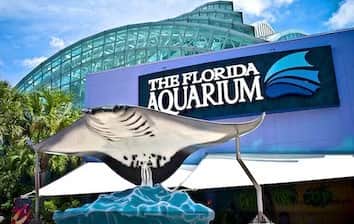 Tampa, FL