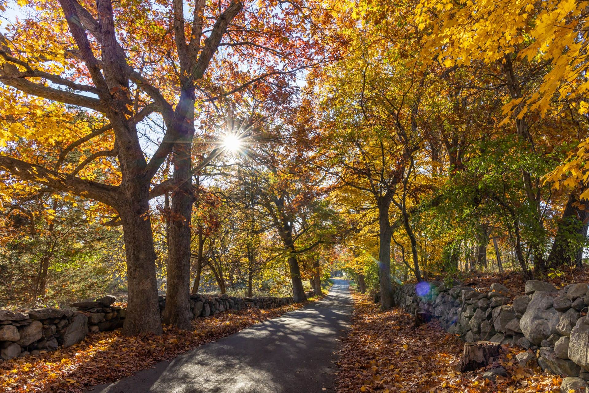 Burlington, MA