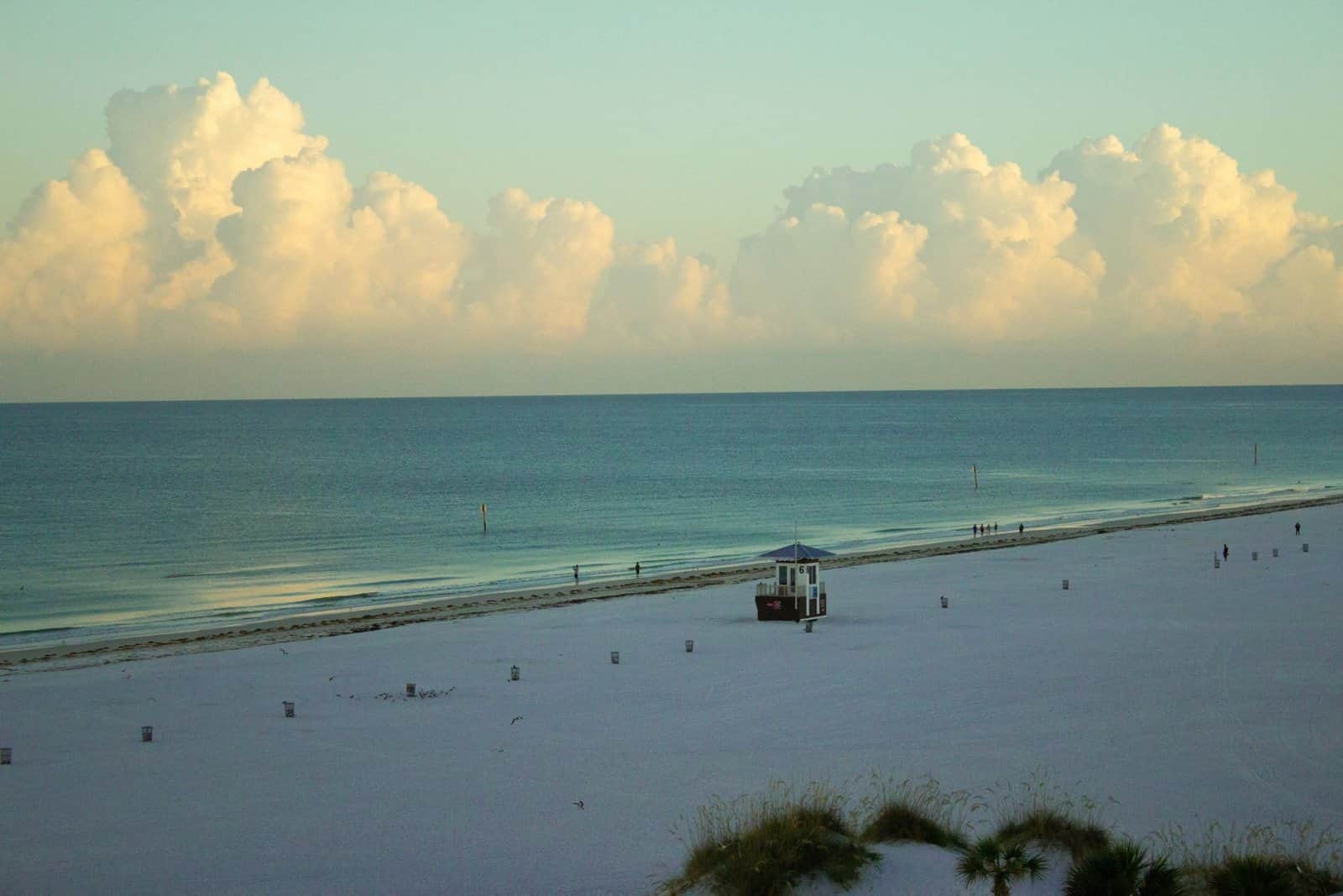 Clearwater, FL