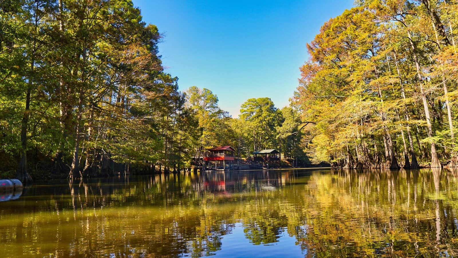 Cypress and pines reflected in a still Texas lake, the kind of water and forest The Woodlands, TX is built around