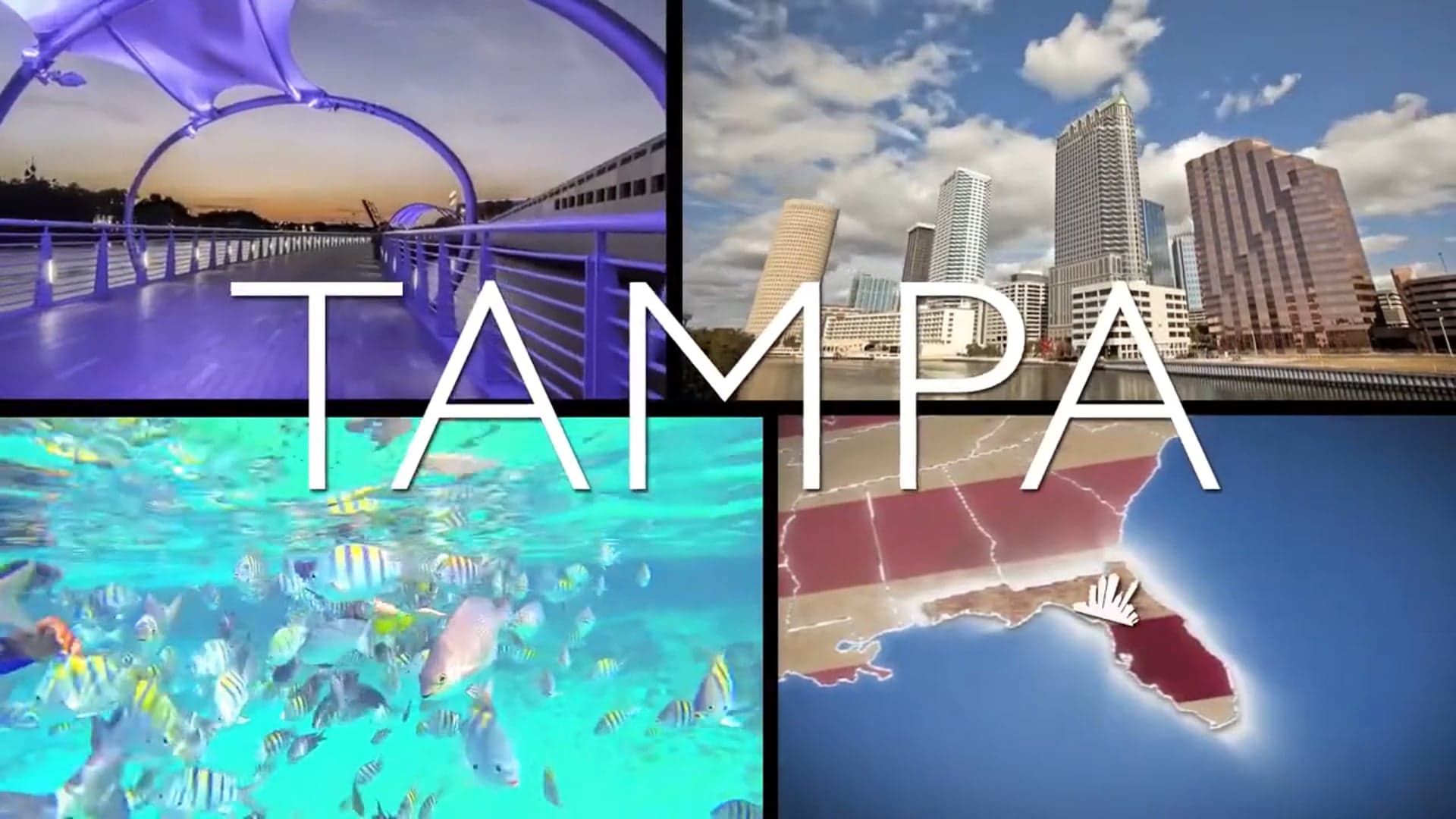 Corporate team building events in Tampa, FL