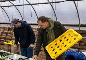 Hydroponics for Hunger