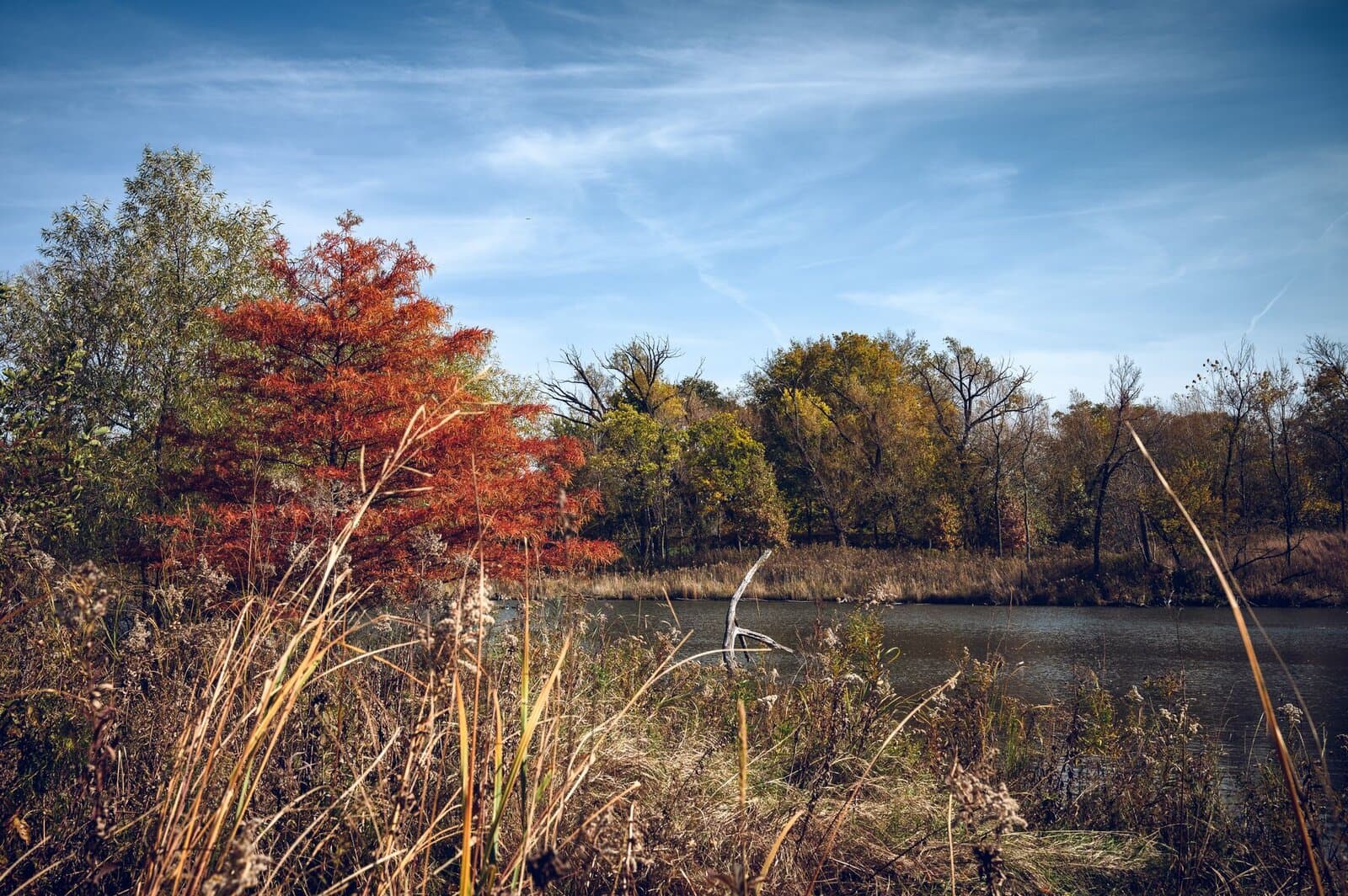 Corporate team building events in Oak Brook, IL
