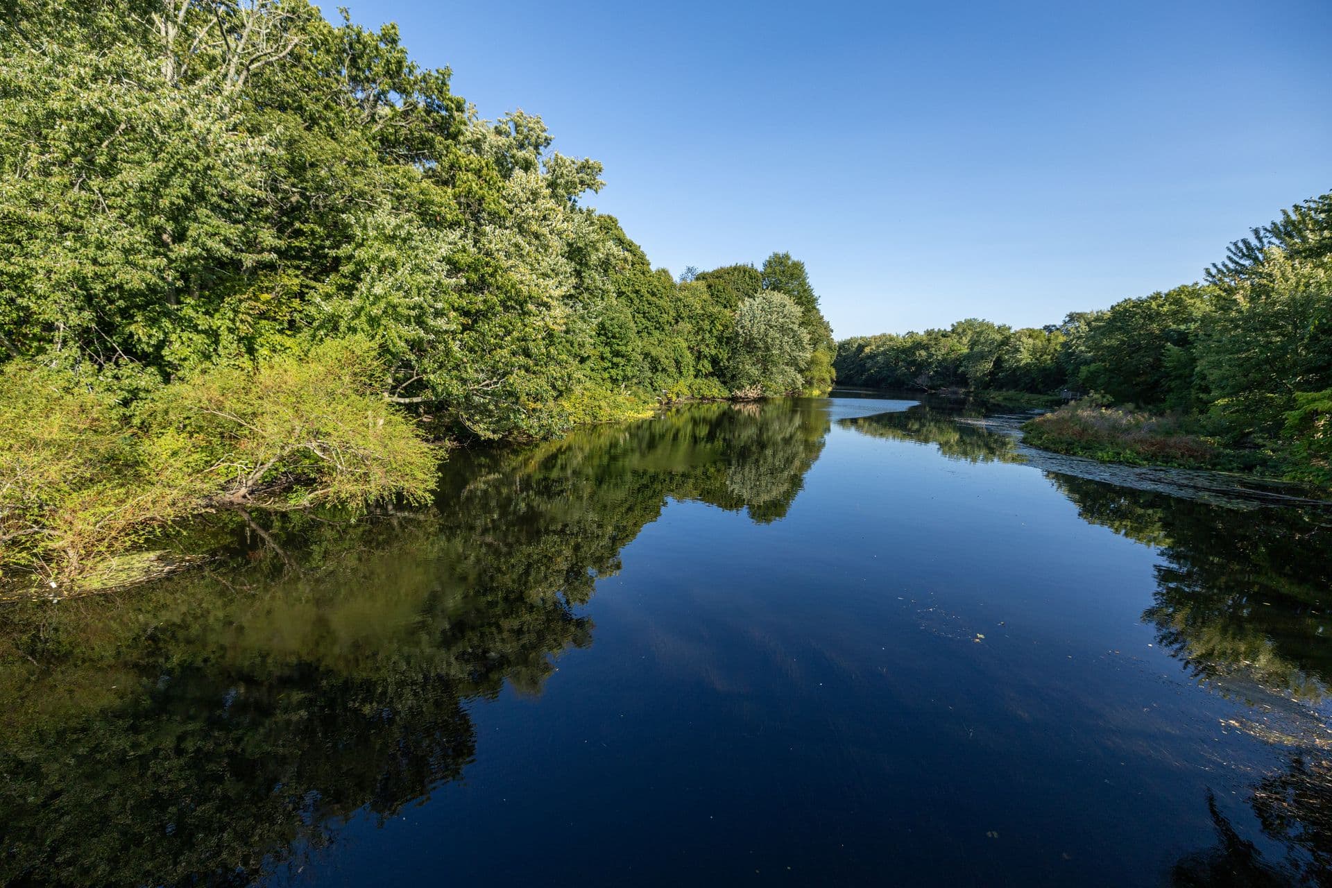 Corporate team building events in Waltham, MA