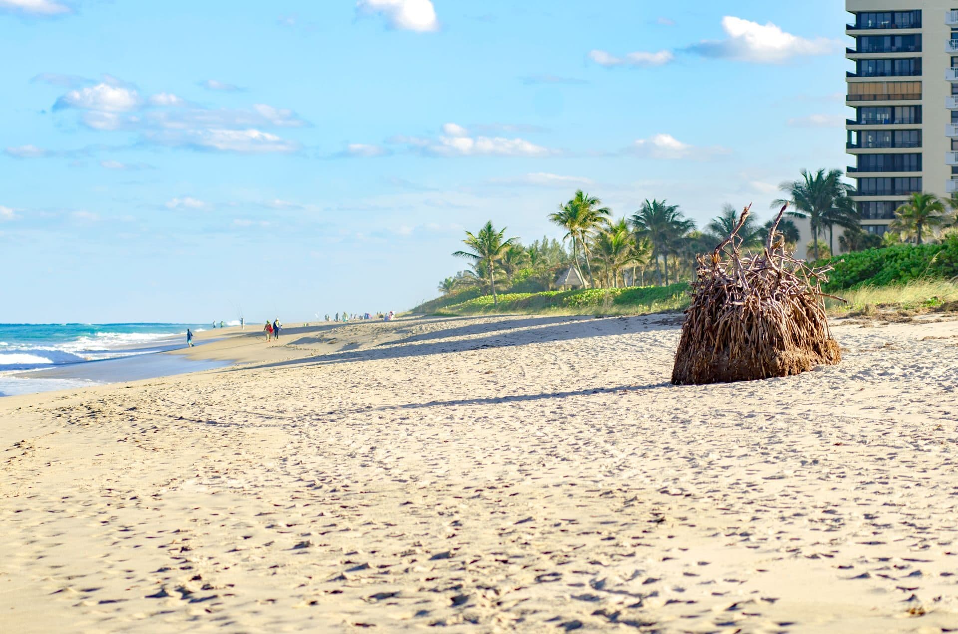 Corporate team building events in West Palm Beach, FL