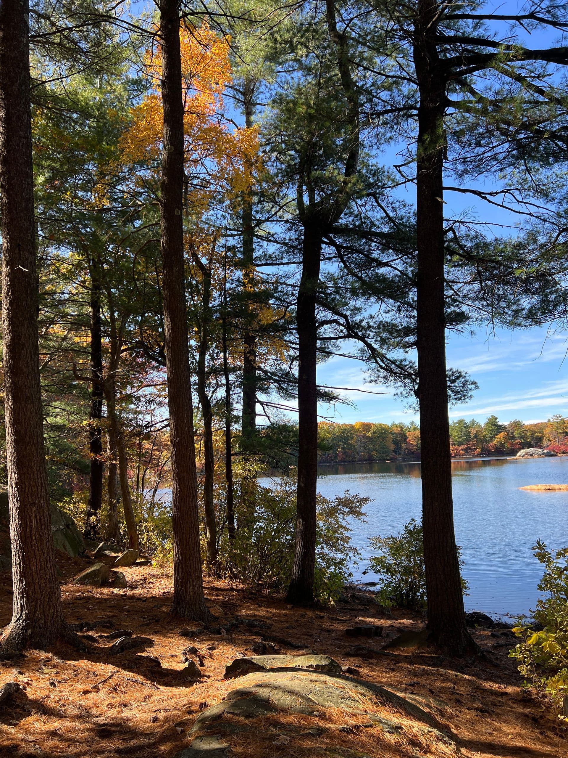 Corporate team building events in Woburn, MA