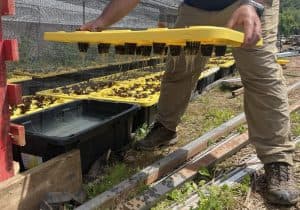 Hydroponics for Hunger