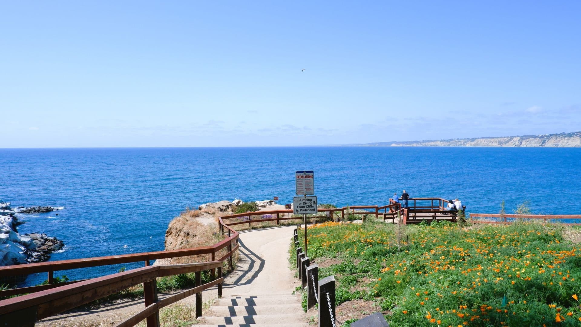 Corporate team building events in La Jolla, CA
