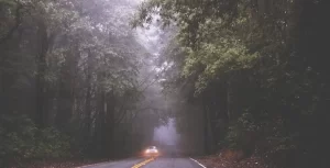 A car driving down a road in a foggy forest.