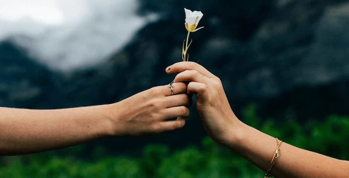 Two hands give back a flower in front of a mountain.