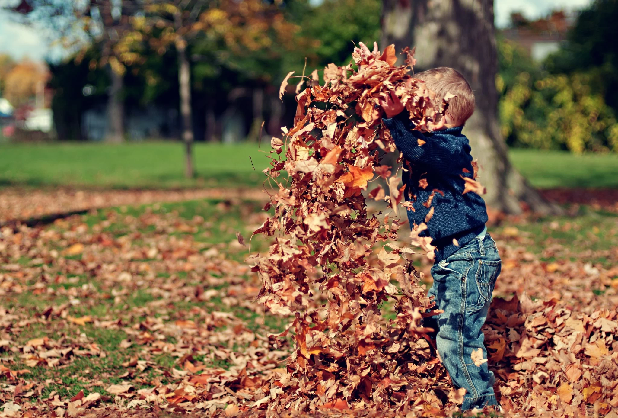 On the first day of fall, a young boy joyfully plays with colorful leaves in a park.
