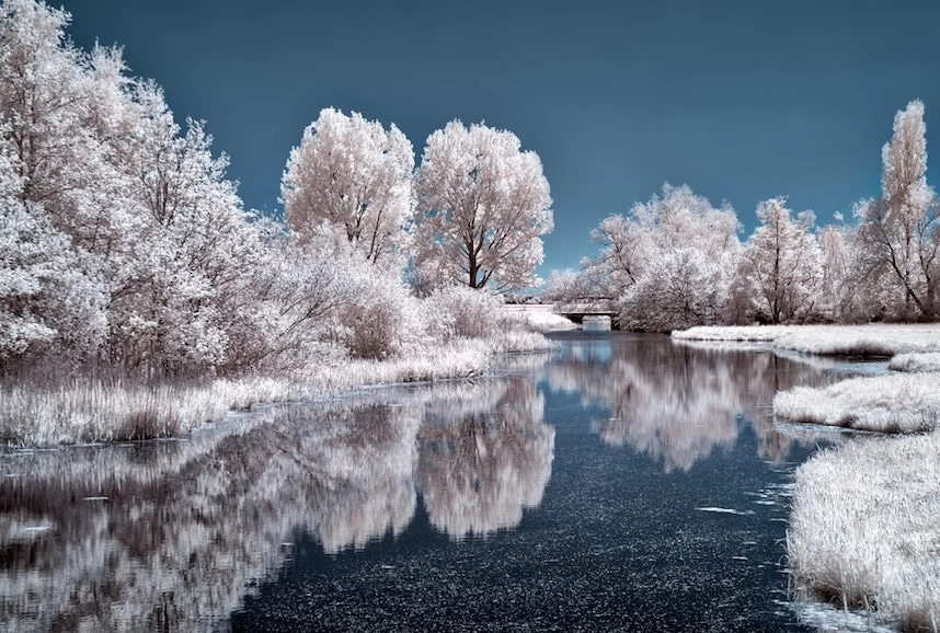 An infrared image of a winter river surrounded by trees.