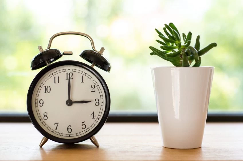 An alarm clock next to a potted plant on a window sill, reminding you to set your clock for daylight saving.