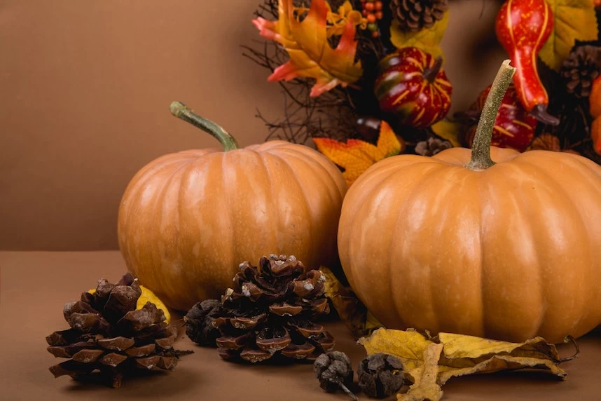 A group of pumpkins and pine cones on a brown background.