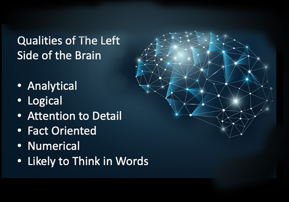 Qualities of the left side of the brain.