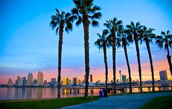 San diego skyline at sunset with palm trees in the background.