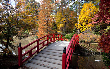 A red bridge over a pond in a japanese garden.