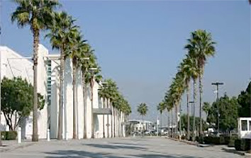 A street lined with palm trees in front of a building.