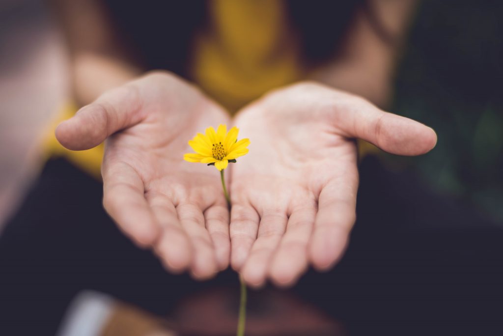 yellow flower blooming from the middle of cupped hands to represent giving