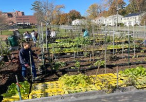 A group of people working in a hydroponics garden, seeking donation.