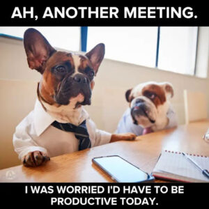 Two dogs dressed in business attire sit at a desk with a laptop and notebook, with text above and below joking about meetings and productivity.